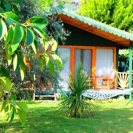 Etenna 3* Çıralı